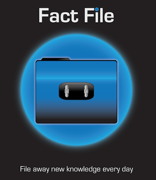 Fact File original UI